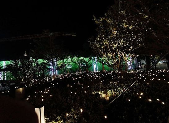 Solar Powered Outdoor Lights 2V 80mA Swaying Solar Garden Firefly Lights  Firefly Lights With